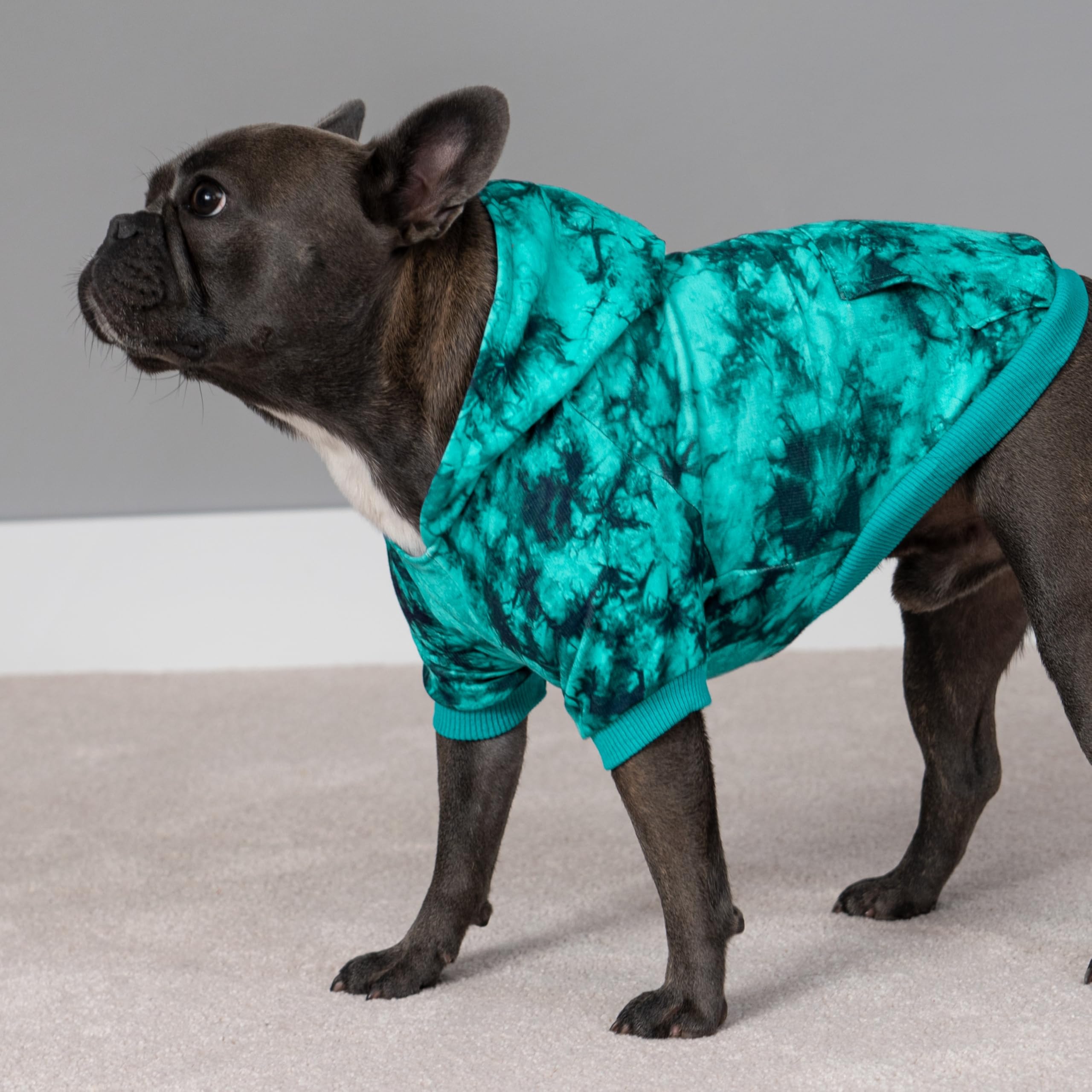 Fitwarm Tie Dye Fleece Dog Hoodie - Lightweight Winter Sweatshirt with Hood for Small Dogs (Sky Blue, Small) | Cozy Pet Apparel for Outdoor Walks & Indoor Lounging