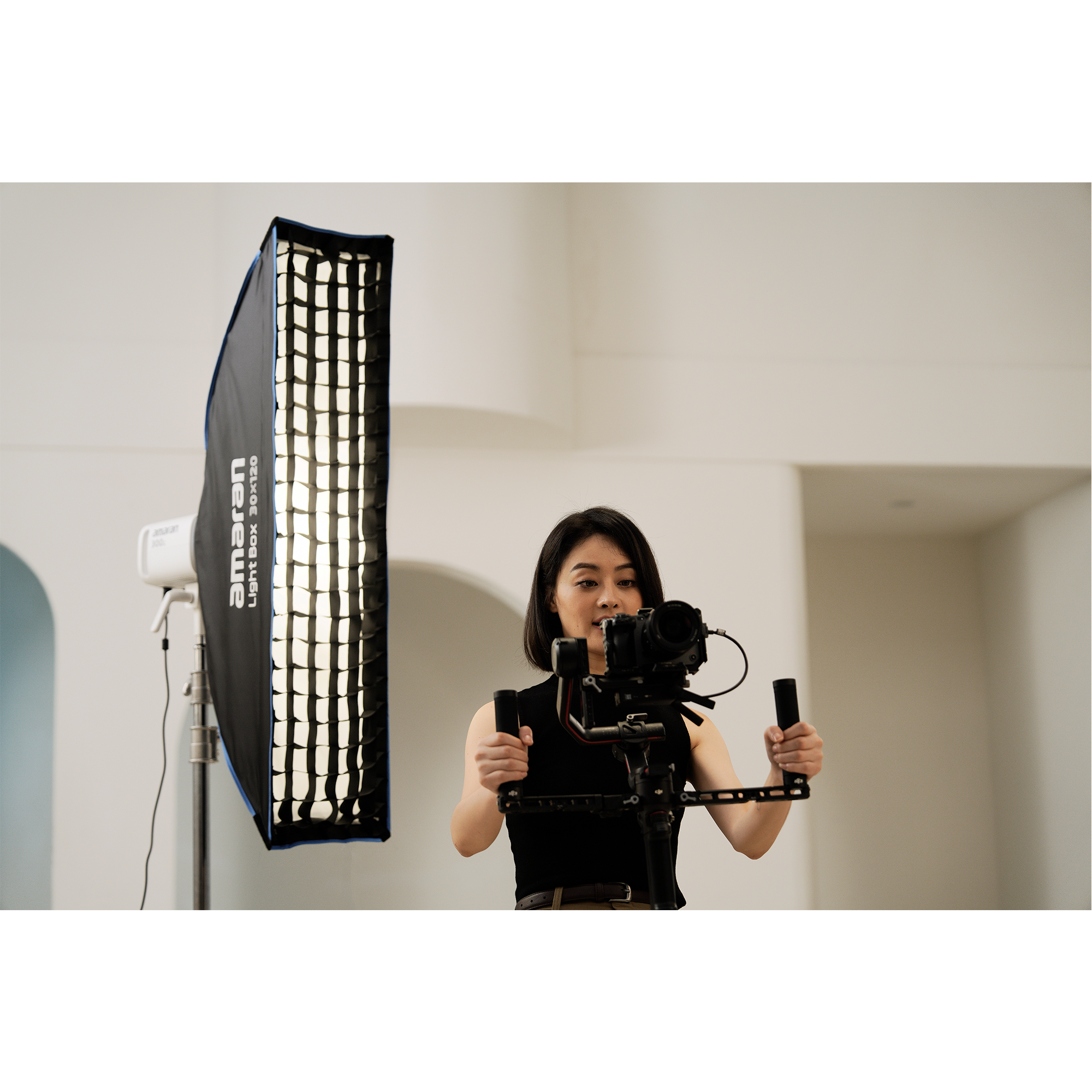 Amaran LED Light Box 30x120cm - Dimmable Backlit Sign for Advertising, Retail Displays & Home Decor - Perfect for Stores, Restaurants, and Events