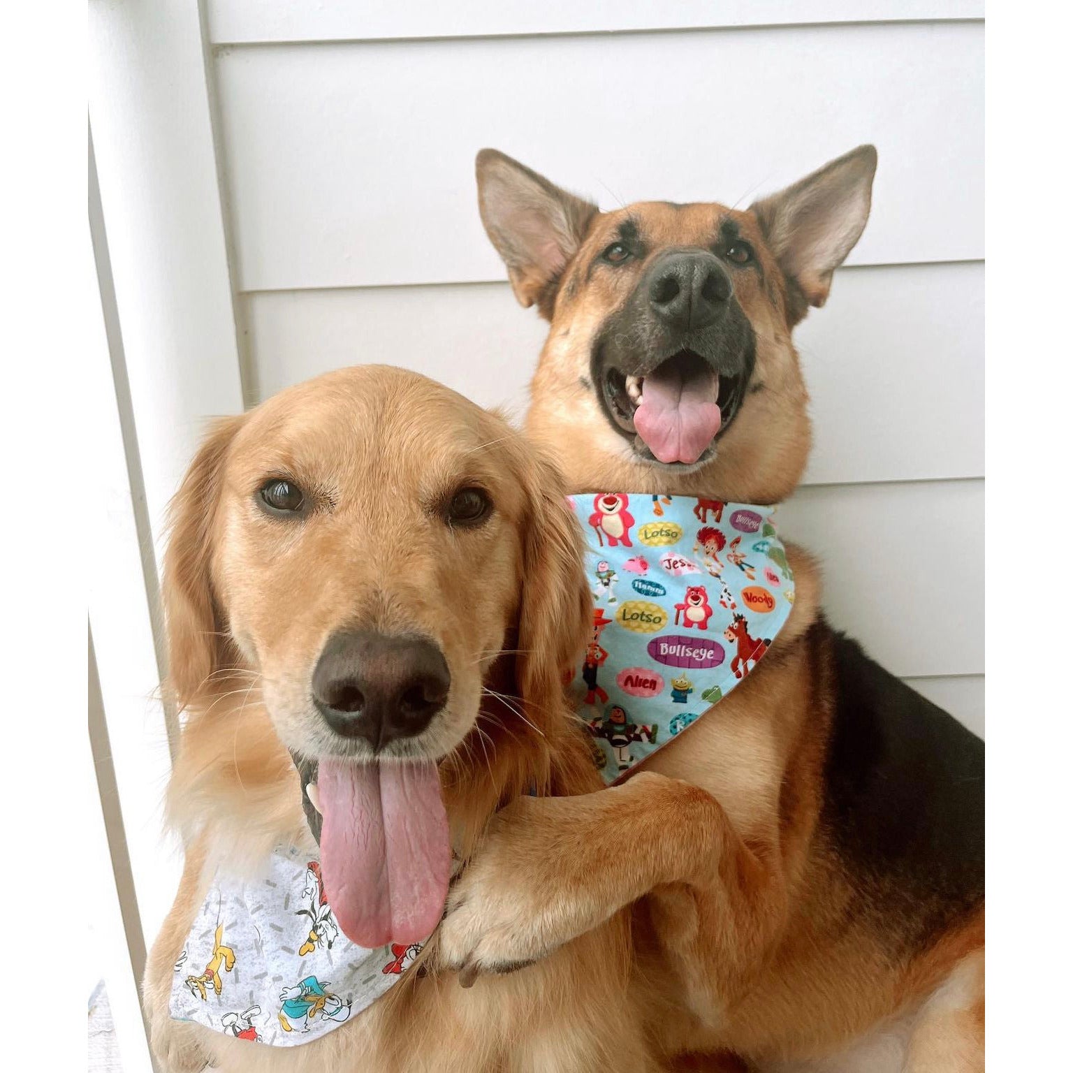 Toy Story Reversible Dog Bandana - You've Got a Friend in Me Pet Accessory for Dogs & Puppies - Perfect for Disney Movie Nights, Costume Parties & Daily Walks
