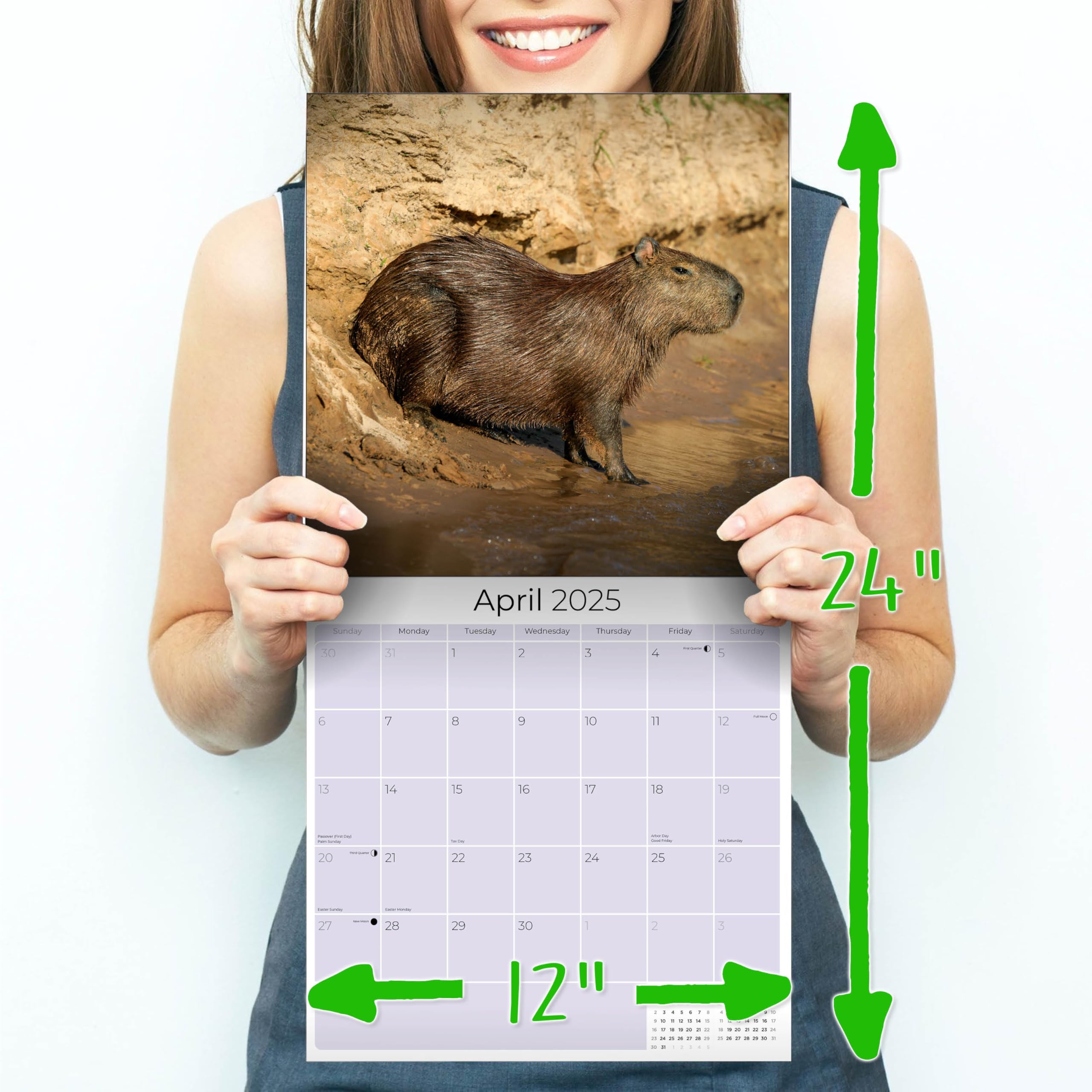 2024-2025 Capybara Wildlife Wall Calendar - 12