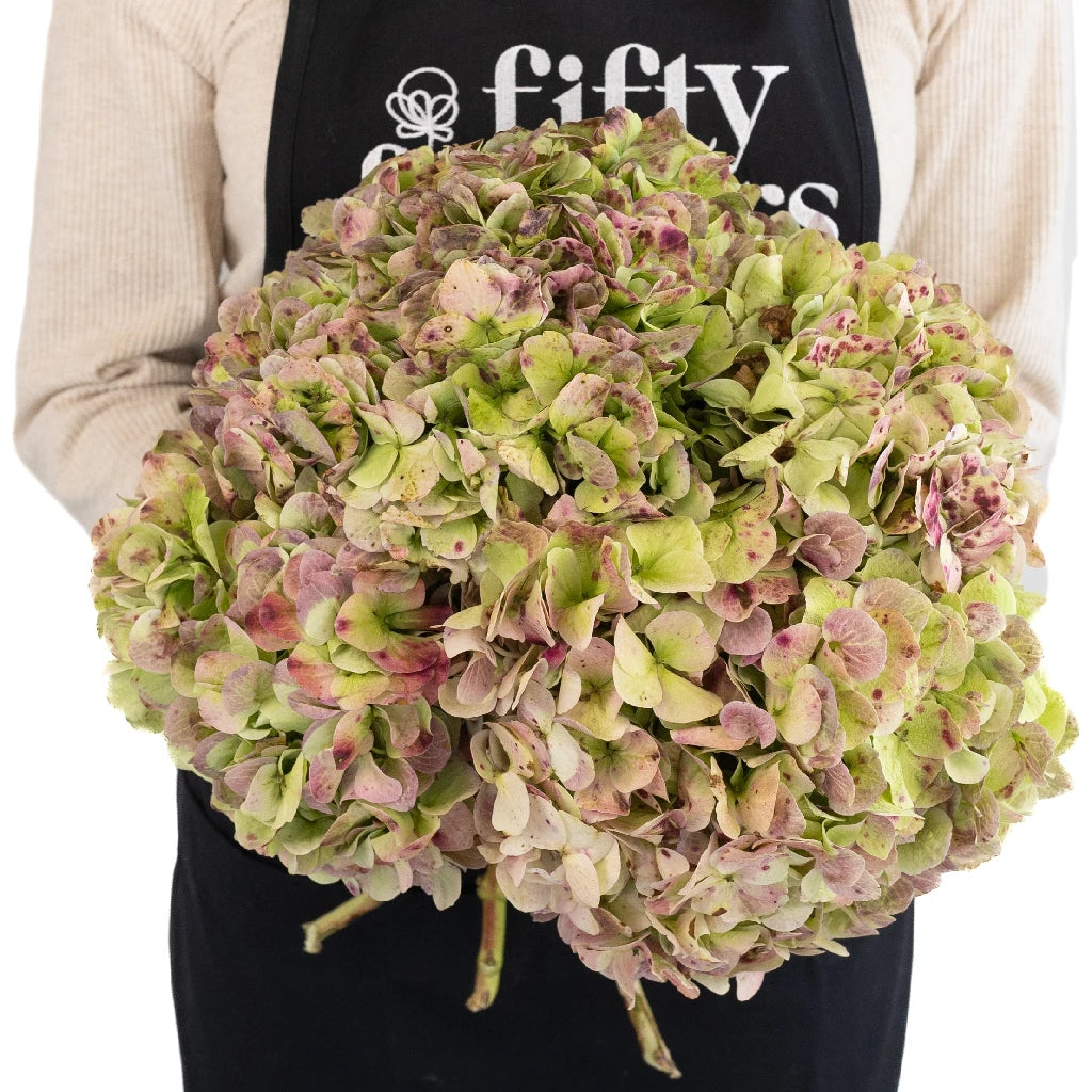 Antique Green Red Extra Large Hydrangea Silk Flowers - Premium Artificial Floral Arrangement for Wedding Centerpieces, Home Decor, and Event Styling
