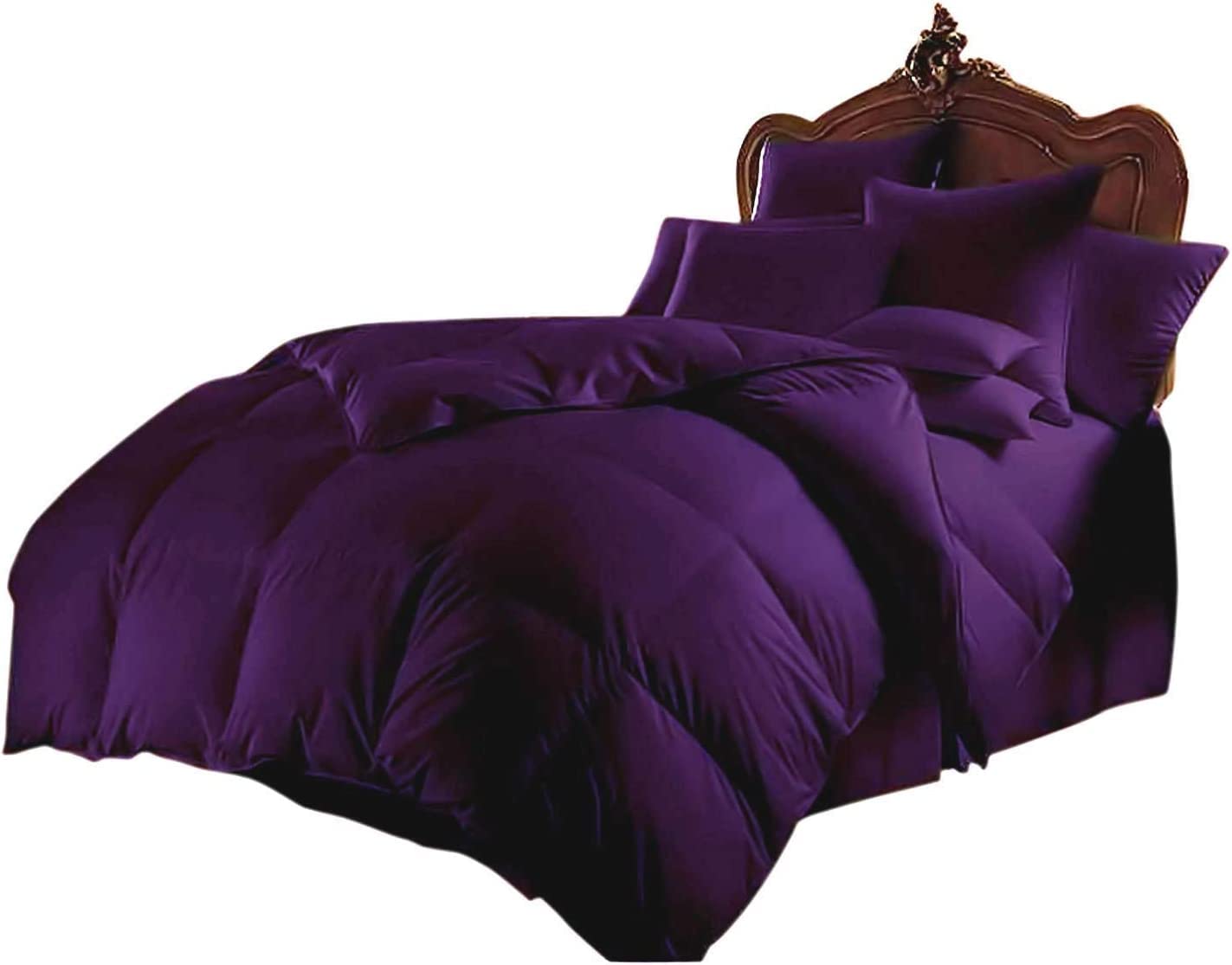 800 Thread Count 100% Egyptian Cotton Queen Size Comforter - Hotel Quality, 300 GSM All-Season Goose Down Alternative - Oversized Purple Solid Bedding for Luxury Home & Guest Room Comfort