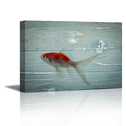 Fish - 01