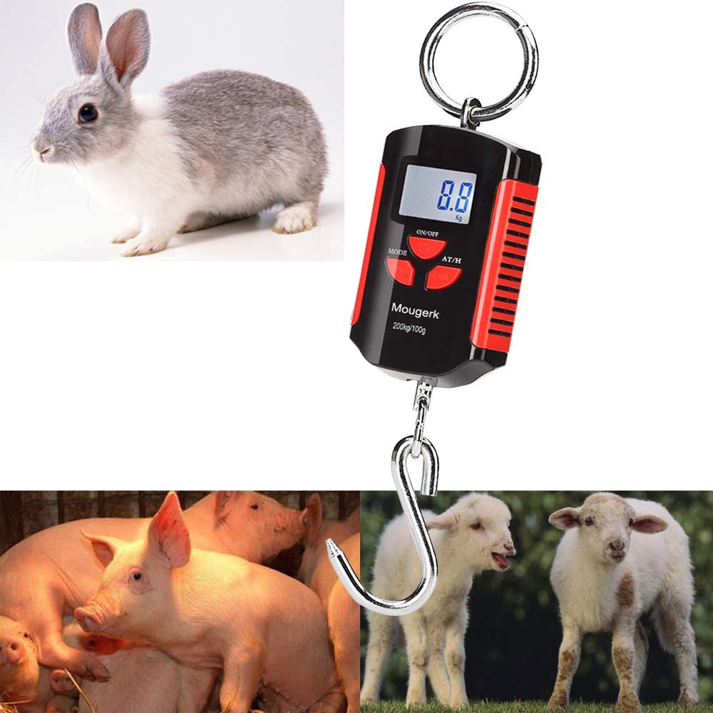 Digital Hanging Scale 440lb/200kg - Portable Heavy Duty Crane Scale with LCD Display - Perfect for Shipping, Fishing, Hunting, and Industrial Weighing (Batteries Not Included)