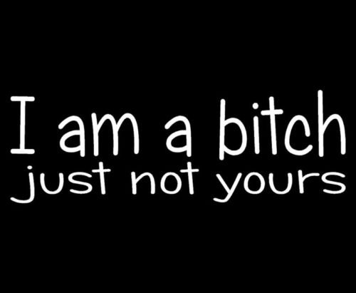 Funny 'NOT Your Bitch' Car Window Decal - Die-Cut Vinyl Sticker for Cars, Trucks, Laptops, MacBooks & Smooth Surfaces - Perfect for Personalizing Vehicles, Toolboxes & Tech Devices