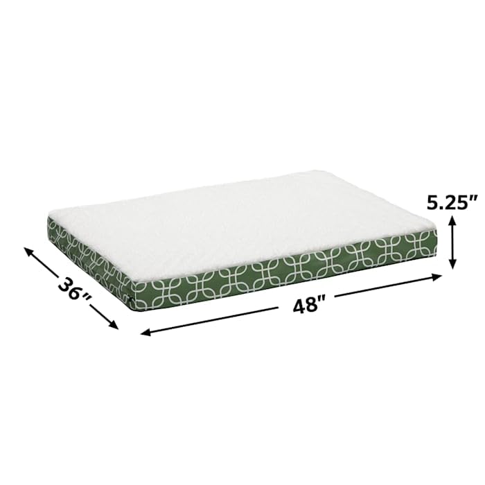 Midwest EcoSpring Orthopedic Dog Bed - Large Green Waterproof Pet Bed with Teflon Fabric Protector for Extra Large Dogs & Senior Pets (48