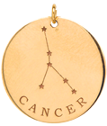 14K Gold Zodiac Charm Necklace - Constellation Pendant for Women - Perfect for Birthdays, Anniversaries & Everyday Elegance