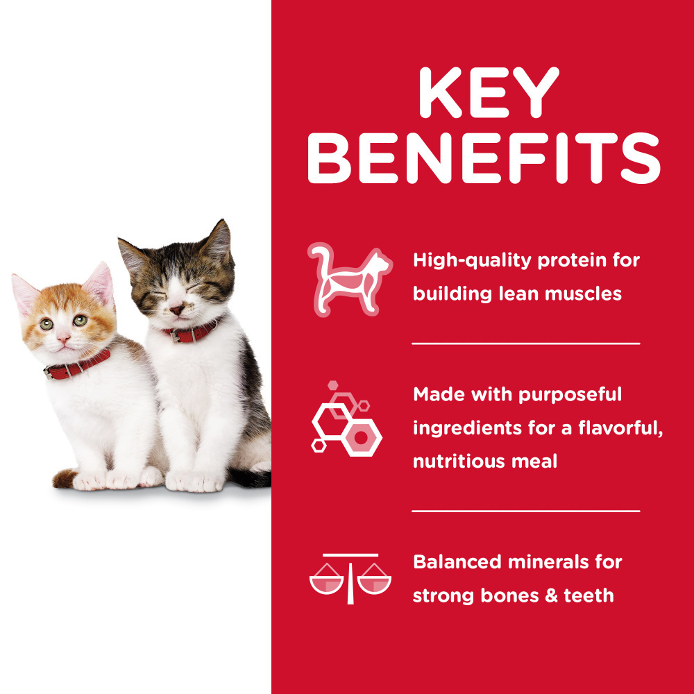 Hill's Science Diet Variety Pack Kitten Canned Cat Food - Wet Food for Kittens with Chicken, Turkey & Salmon - Perfect for Growing Kittens at Home or Travel