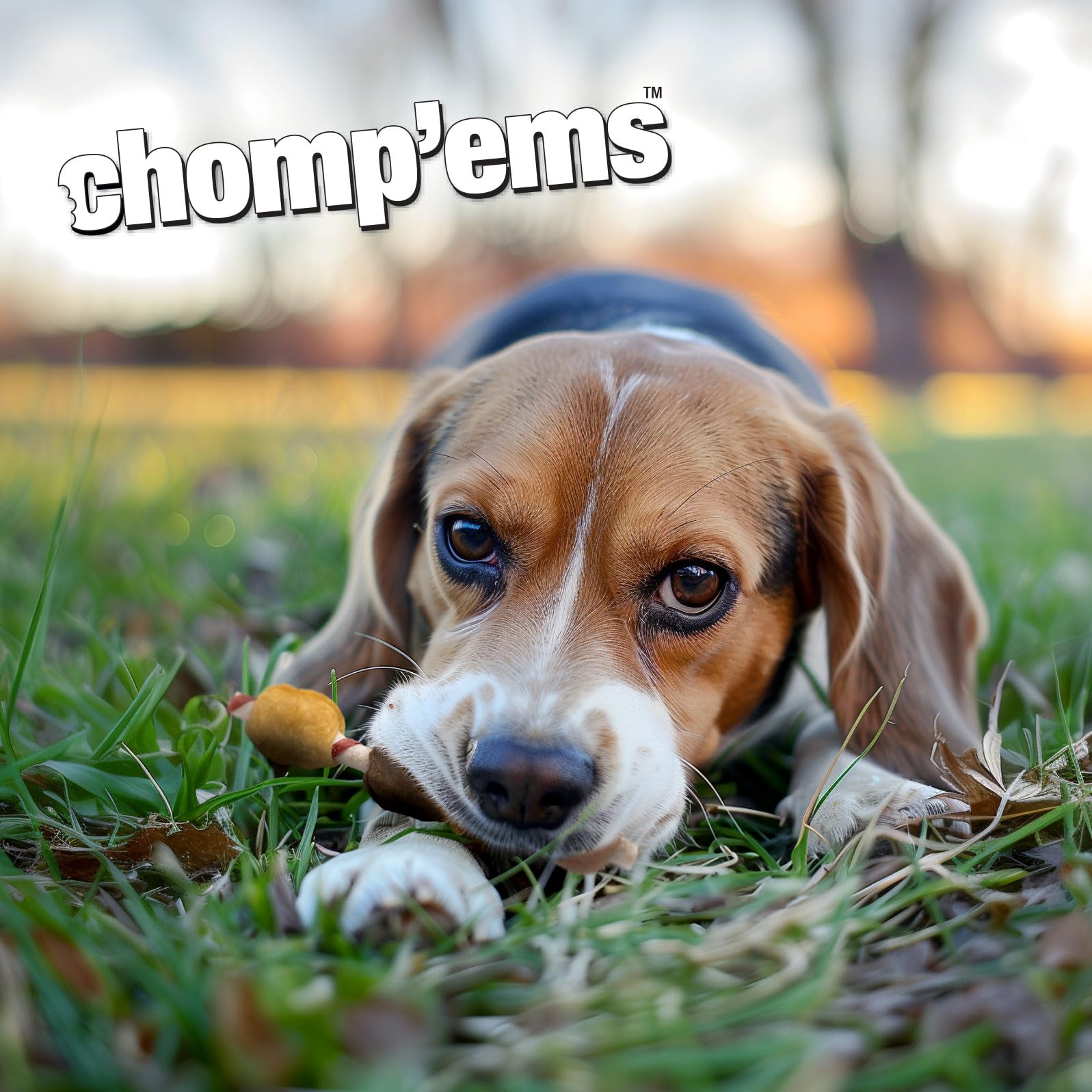 CHOMP 'EMS Five Flavor Kabobs Dog Treats - Beefhide Chewsticks for Dogs - High Protein, Long-Lasting Dog Chews (15 Count) - Perfect for Training, Teething & Dental Health