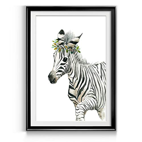 Savannah Zebra