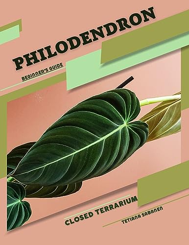 Philodendron Care Guide for Closed Terrariums - Easy Tips for Beginners | Perfect for Home & Office Decor