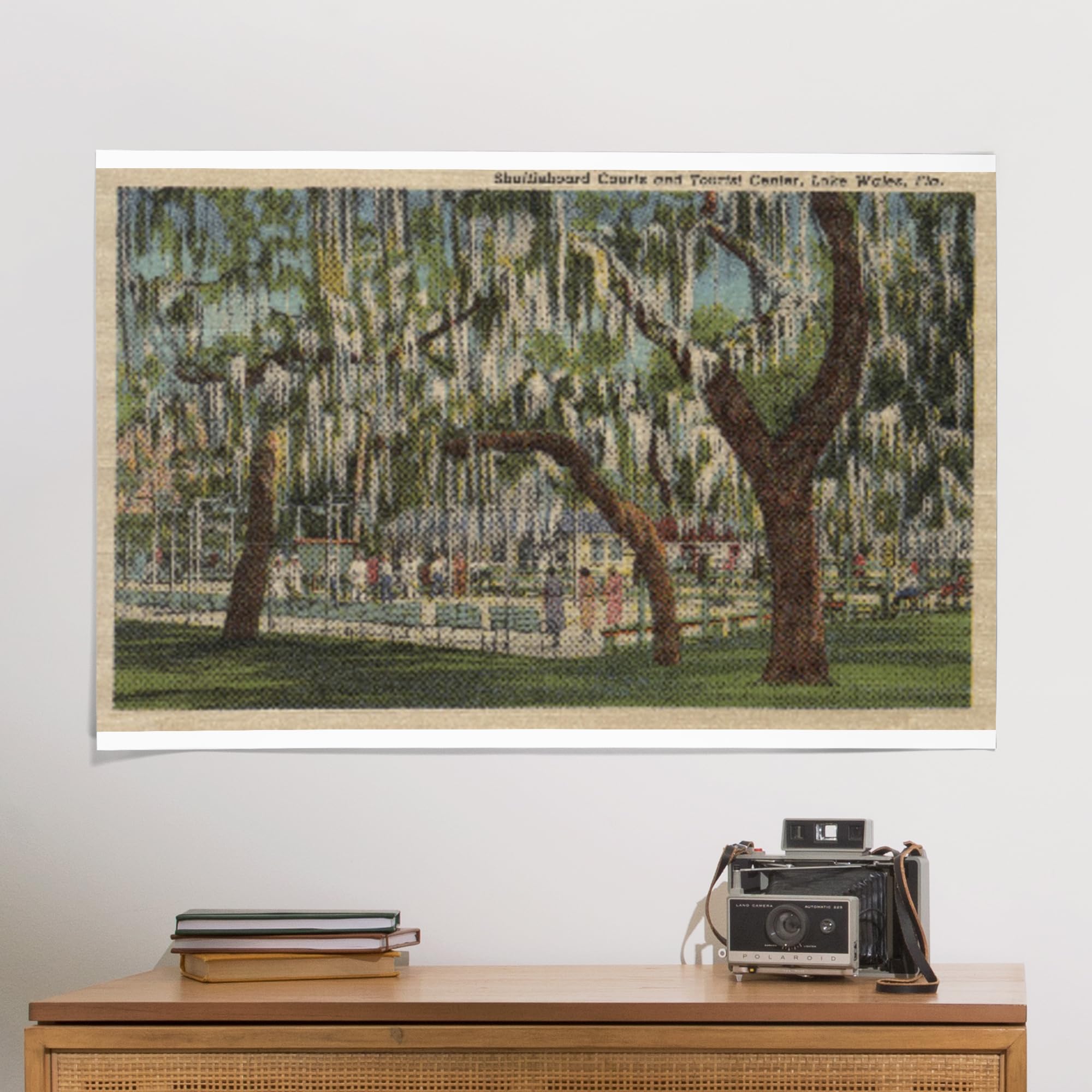 Lantern Press 24x36 Inch Giclee Art Print - Lake Wales Florida Landscape Wall Decor with Outdoor Shuffleboard Court Scene | Perfect for Living Room, Bedroom & Office Decor