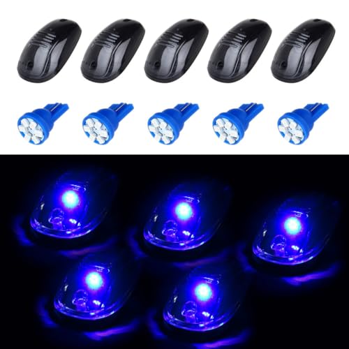 Smoke Len T10-6 Blue Bulbs