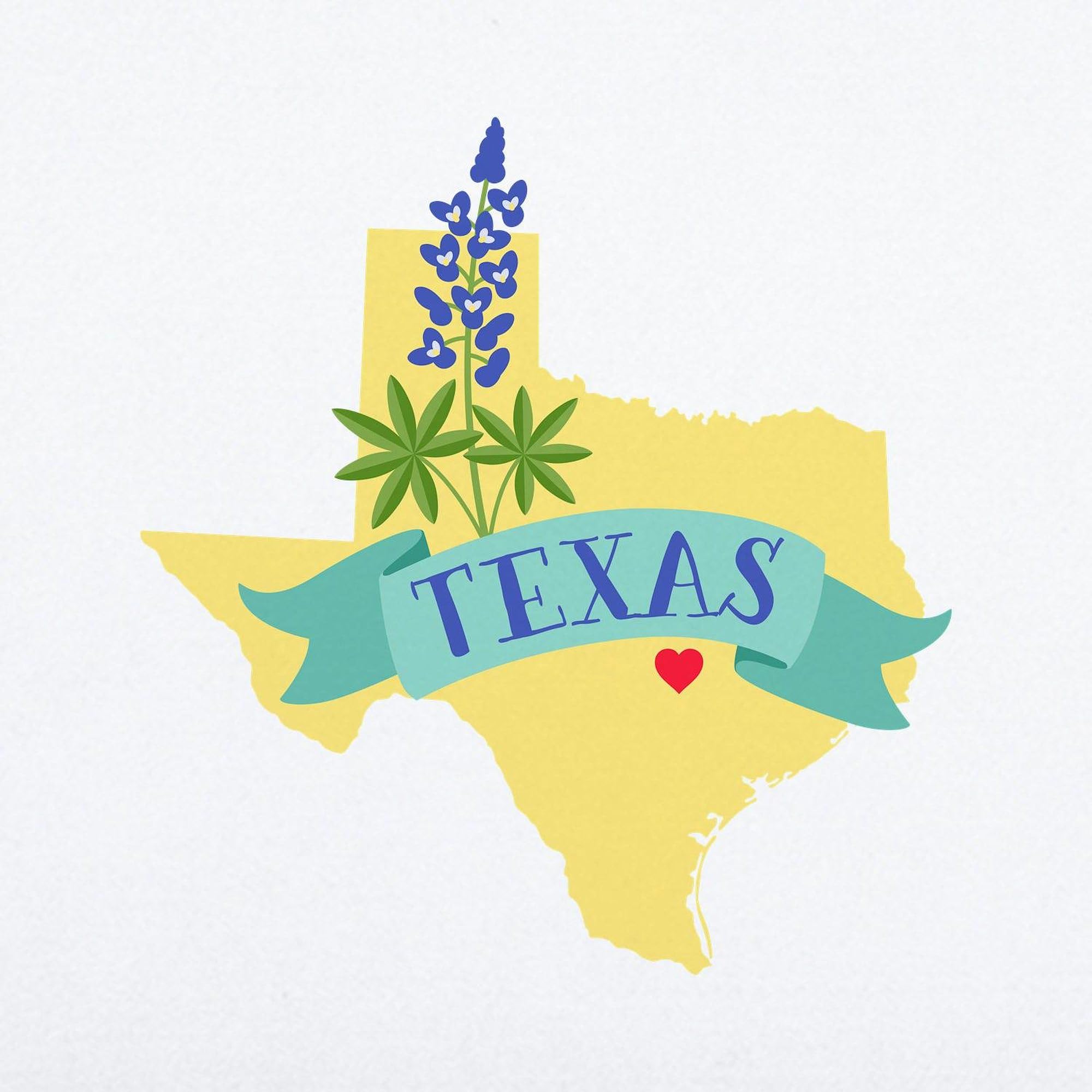 Texas State Outline Bluebonnet Flower Wall Decal 36x11 - Removable Vinyl Wall Art, Reusable Peel and Stick Home Decor for Living Room, Bedroom, Nursery, Office