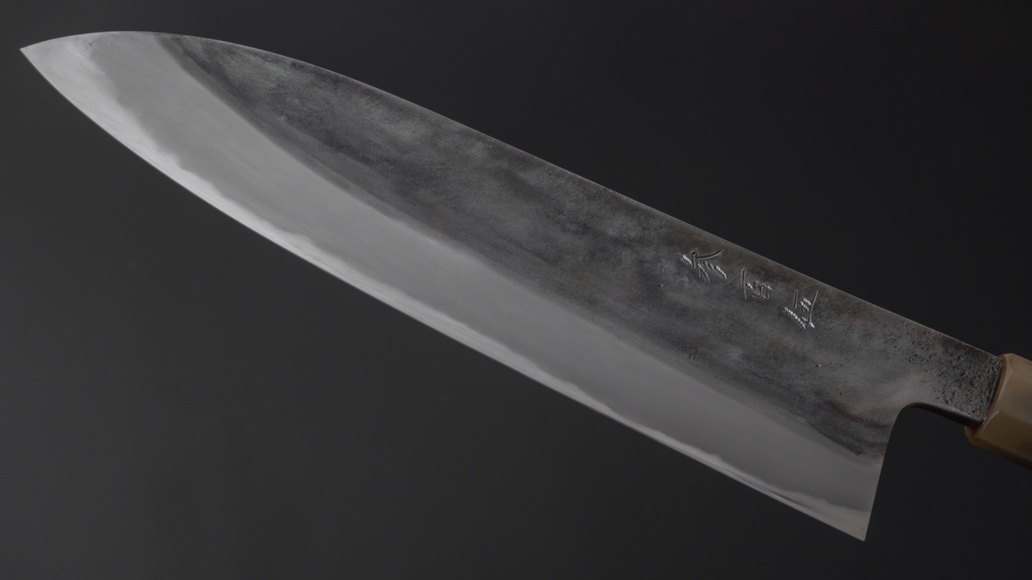 Premium Jiro Tsuchime Wa Gyuto 240mm Japanese Chef Knife - Taihei Tagayasan Handle (#305) - Perfect for Sushi, Meat Cutting & Professional Kitchen Use