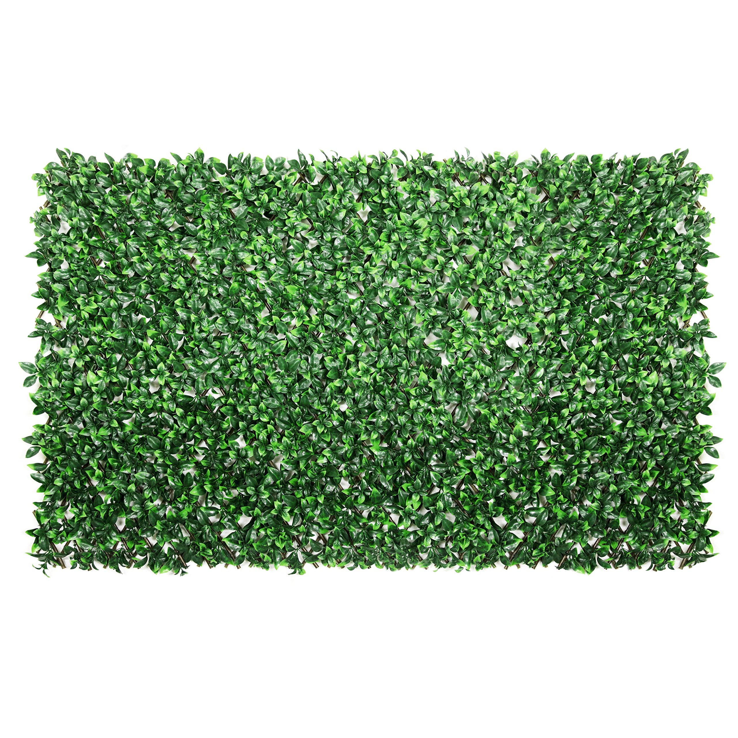 ColourTree Artificial Gardenia Expandable Fence Privacy Screen - Retractable Hedge Faux Trellis for Balcony, Patio & Outdoor Decor - UV Resistant Home Garden Privacy Solution (1 Pack, 3 Year Warranty) - Perfect for Creating Private Outdoor Spaces, Enhancing Yard Aesthetics & Decorating Patios