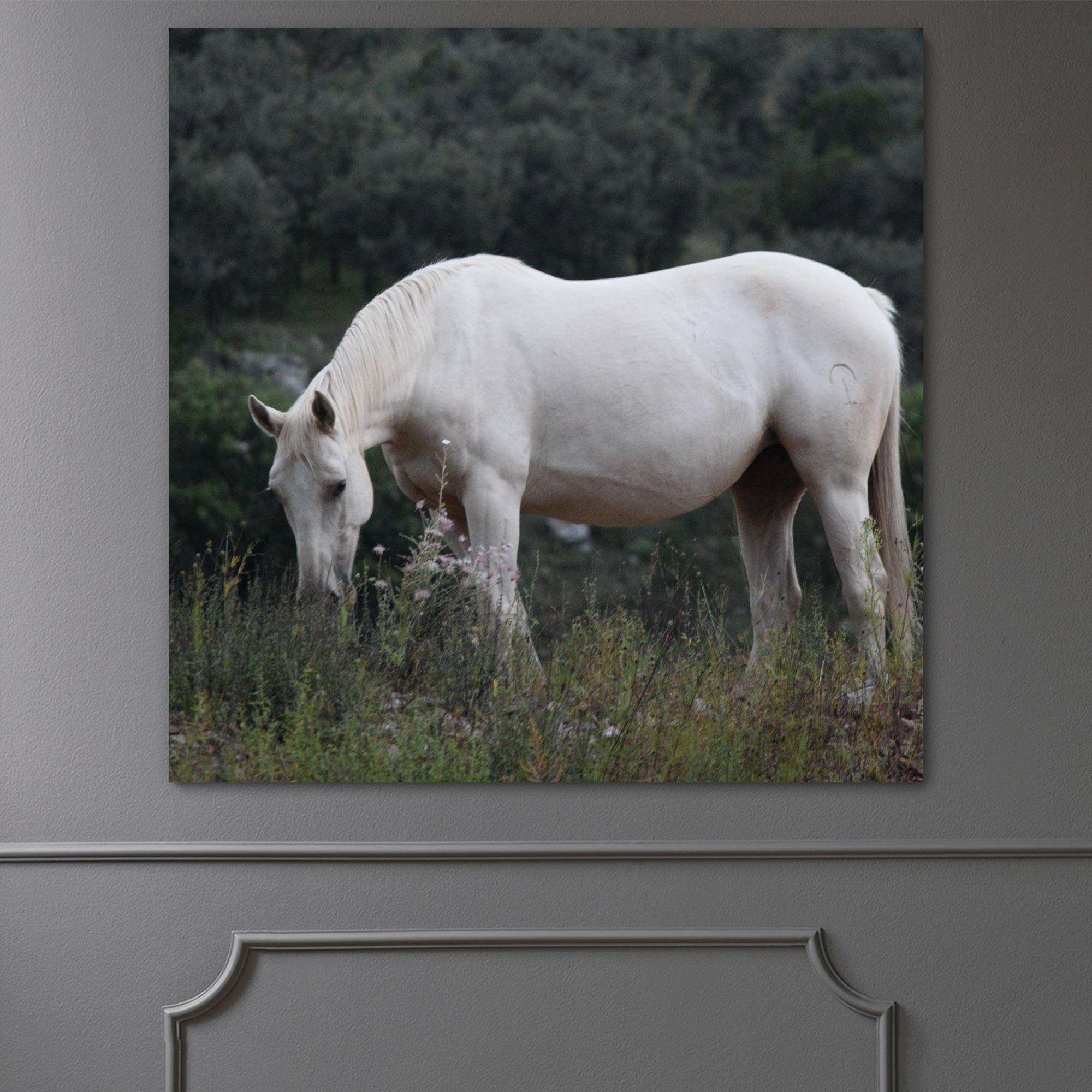 Premium Horse Photography Wall Art Print - Farmhouse & Country Style Decor for Living Room, Bedroom - 16x16 Inches Ready to Hang | Perfect for Western, Equestrian & Ranch Home Decor