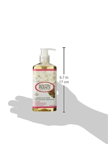 South of France Hand Wash - Climbing Wild Rose Scent, 8 oz | Moisturizing & Antibacterial Liquid Soap for Kitchen, Bathroom & Guest Use