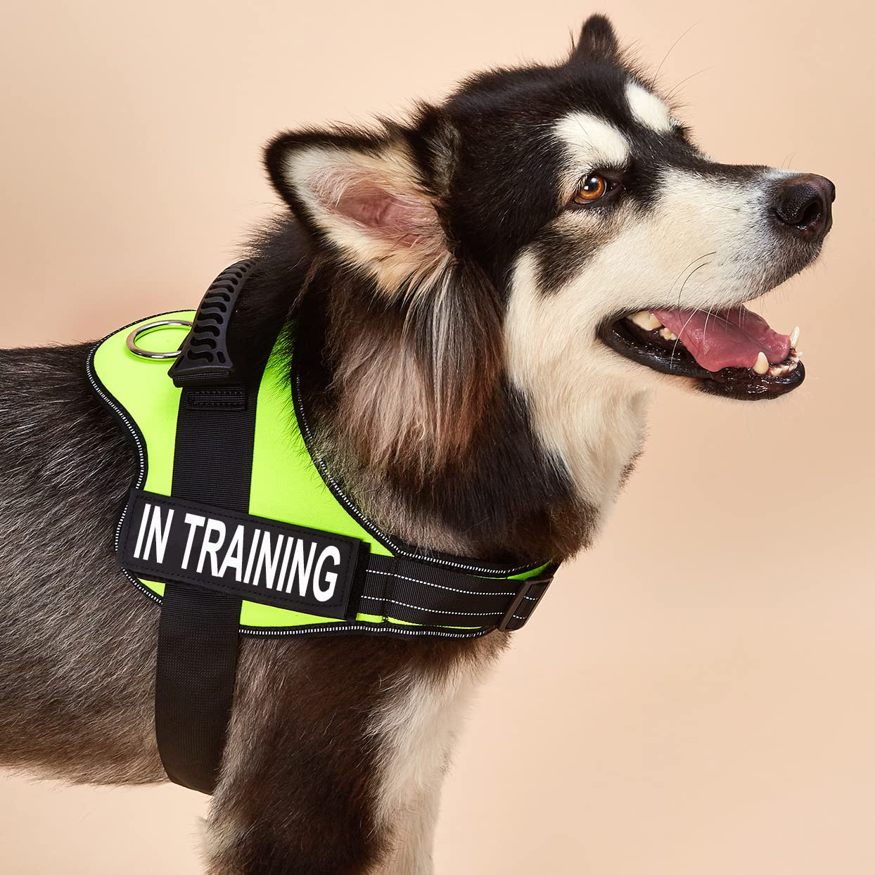 Dihapet No Pull Dog Harness - Adjustable Service Dog Vest for Training, Walking & Jogging - Reflective Pet Safety Vest for Small Medium Large Dogs - Perfect for Outdoor Adventures & Daily Walks