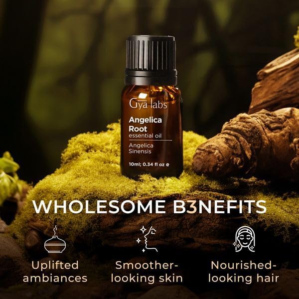 Gya Labs 100% Pure Angelica Root Essential Oil - 0.34 Fl Oz Natural Aromatherapy Oil for Diffusers, Skin Care, Hair Growth, DIY Candles & Massage - Earthy Herbal Scent for Relaxation, Stress Relief & Home Fragrance