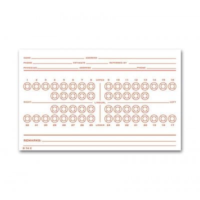 Dental Exam Card File - Numbered Teeth System C (D74C) for Efficient Patient Records & Dental Office Organization