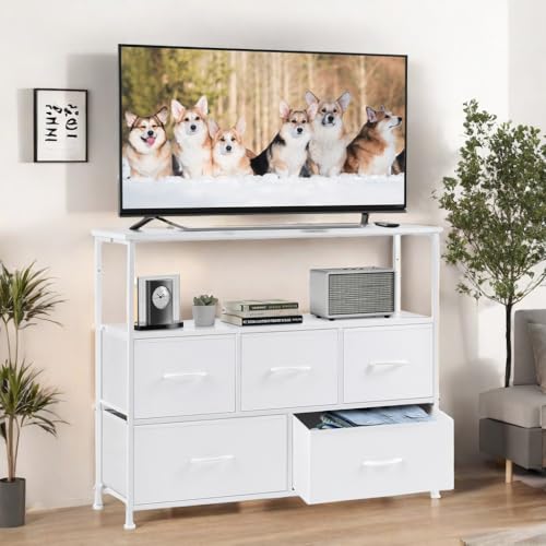 White/Tv5bc