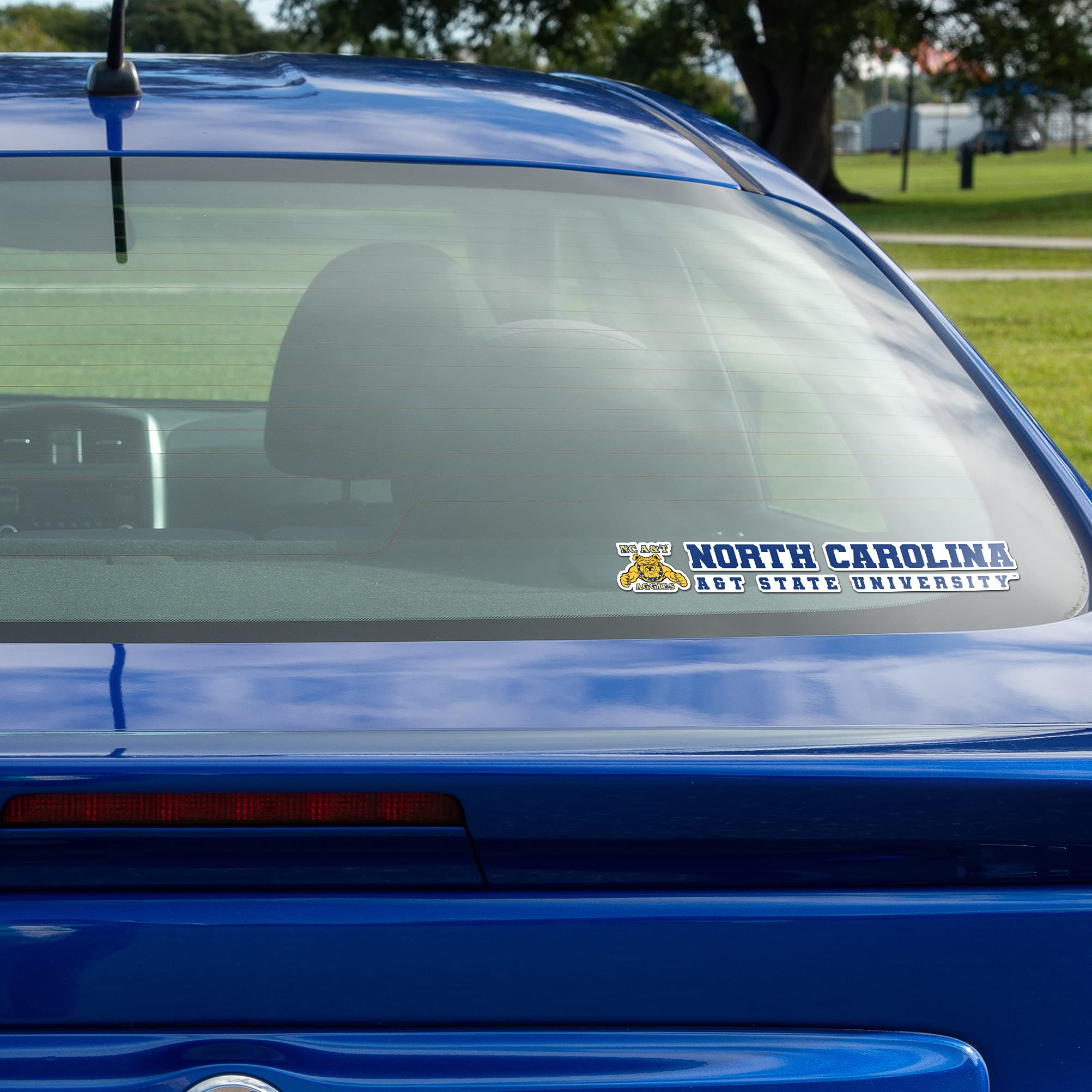 North Carolina A&T State University HBCU Aggies Desert Cactus Logo Vinyl Decal - 8 Inch Sticker for Laptop, Water Bottle, Car & Scrapbook | School Spirit, College Pride, Dorm Decor