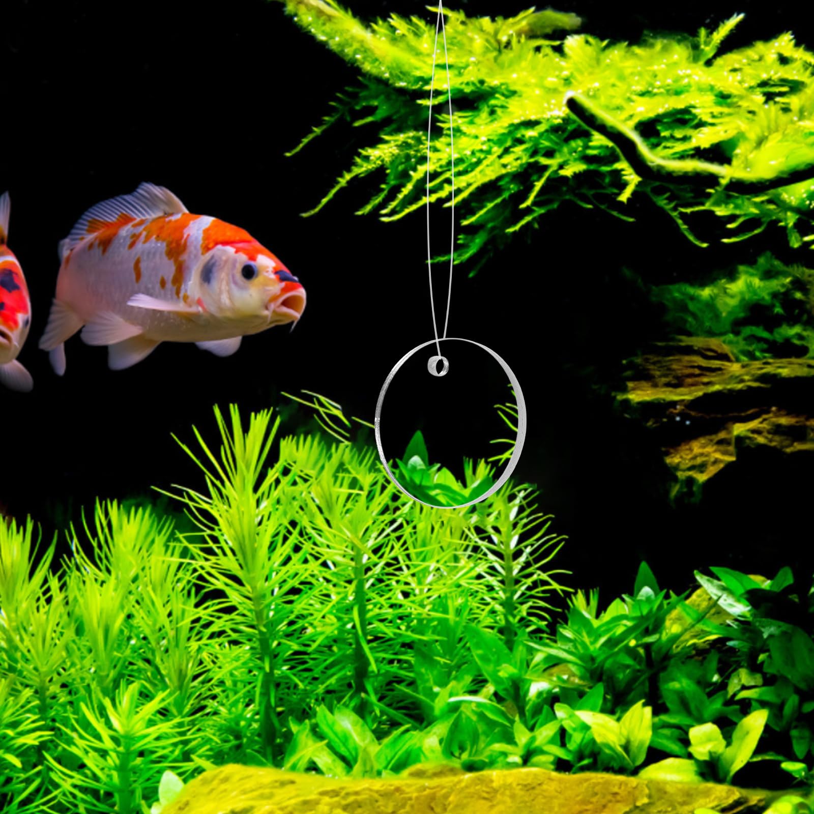 POPETPOP Betta Exercise Mirror - Double Sided Circle Fish Tank Accessory with Floating Ball for Aquarium Fish (5CM) - Stimulate Betta Fish Activity & Reduce Stress