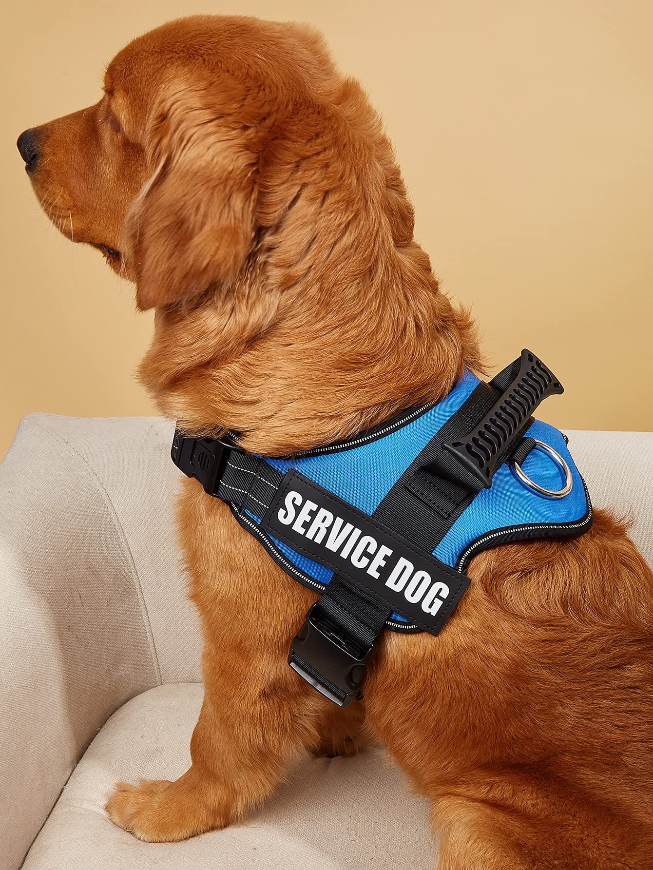 Dihapet No Pull Dog Harness - Adjustable Service Dog Vest for Training, Walking & Jogging - Reflective Pet Safety Vest for Small Medium Large Dogs - Perfect for Outdoor Adventures & Daily Walks