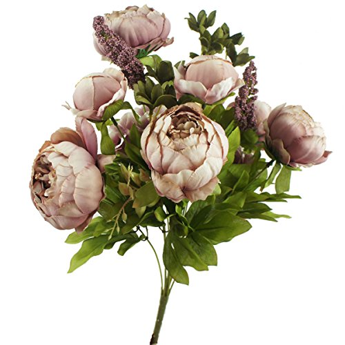 Mauve