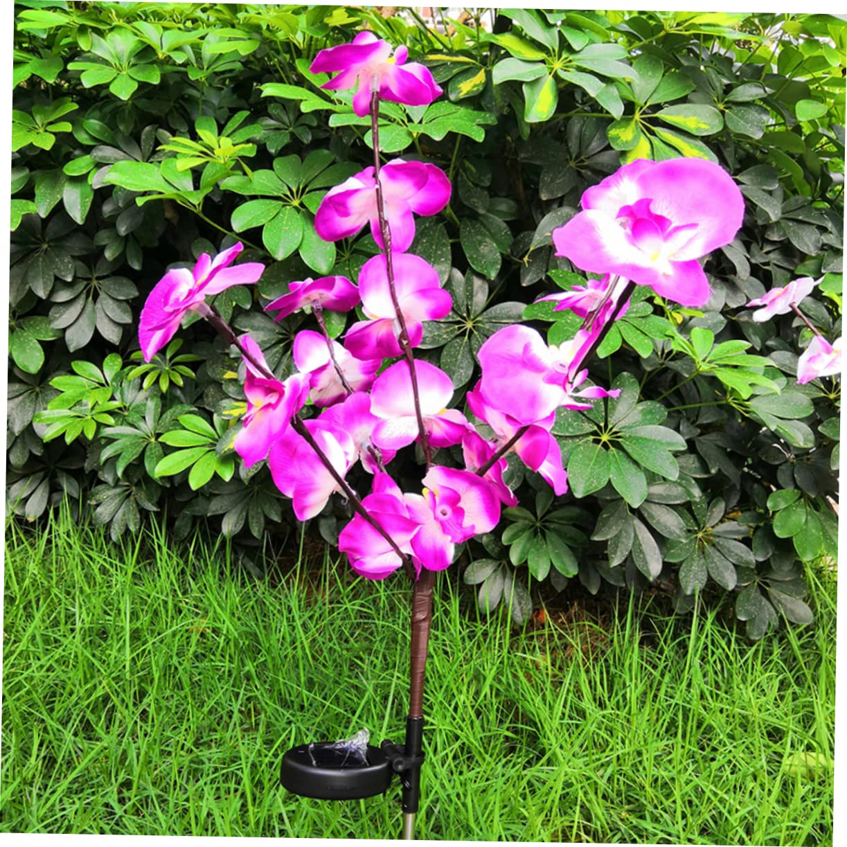 6 Pack Solar Flower Lights - Orchid Shaped Outdoor Garden Lights with Ground Stakes, Waterproof Solar Powered LED Landscape Lighting for Yard, Pathway, Patio Decor