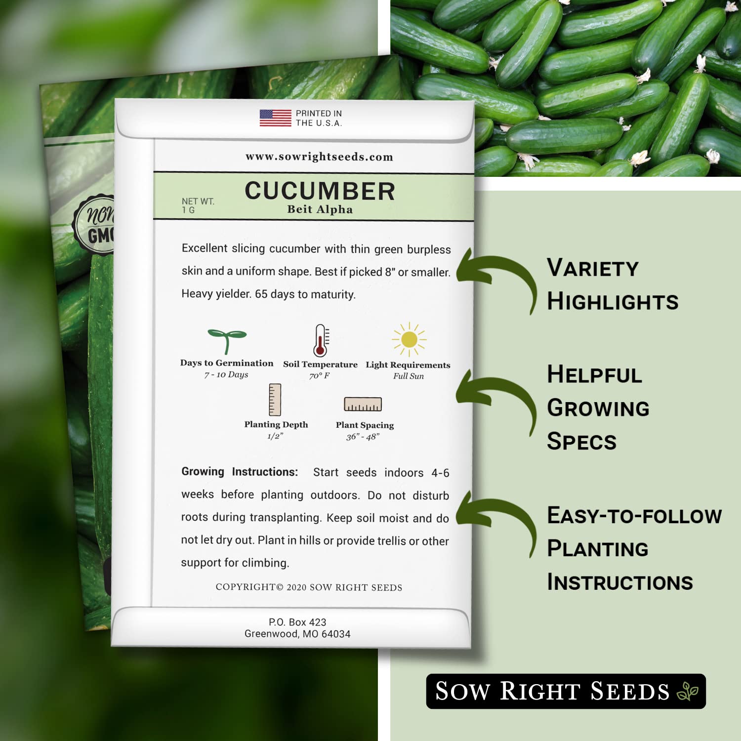 Sow Right Seeds - Non-GMO Heirloom Beit Alpha Cucumber Seeds for Planting - Grow Your Own Home Vegetable Garden with Planting Instructions - Indoor Starter & Outdoor Trellis Planting (4 Pack) | Perfect for Fresh Salads, Pickling, and Healthy Snacking