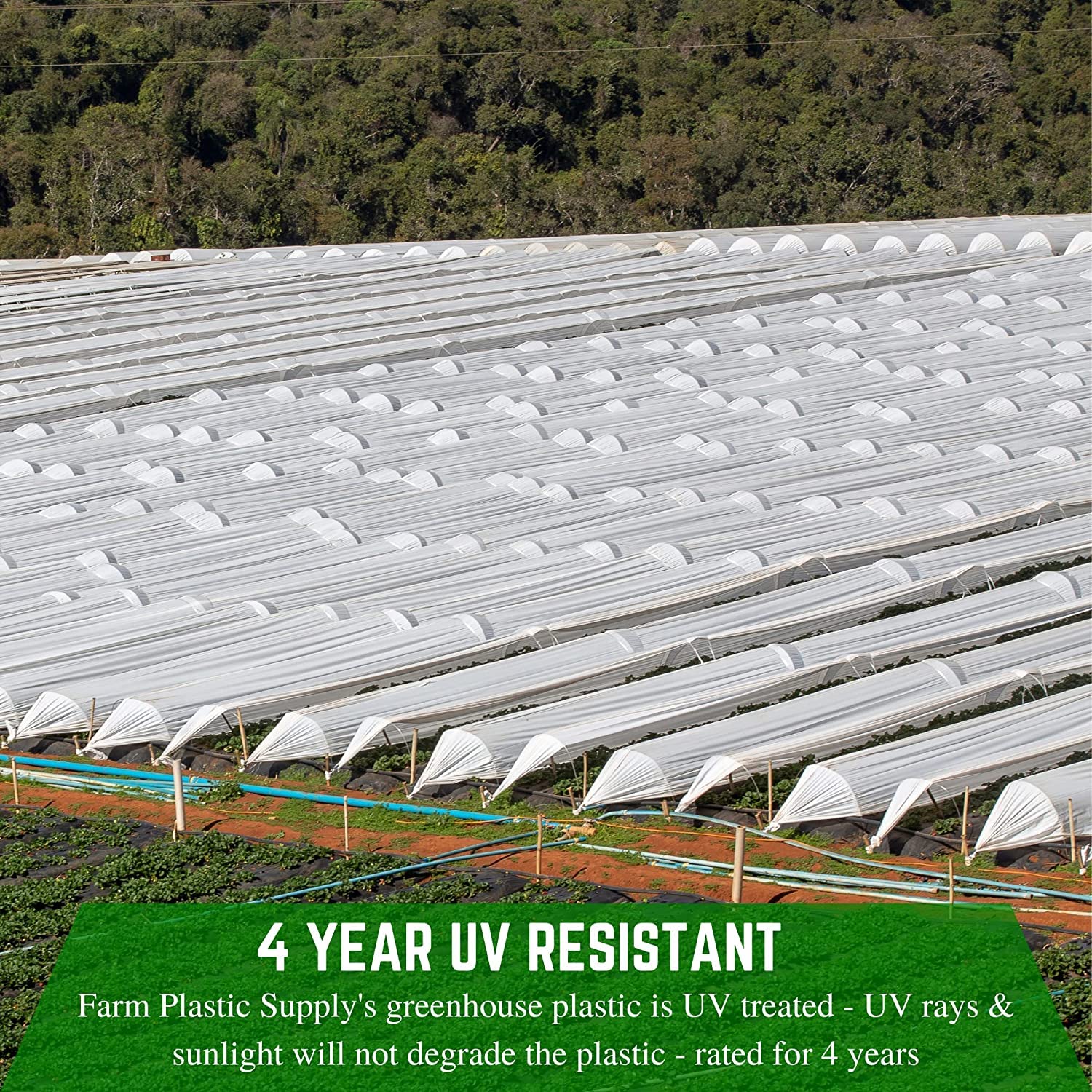 Premium White Greenhouse Plastic Sheeting - 6 mil Thick (32' x 50') - 4-Year UV Resistant Poly Film with 55% Light Transmission - Durable Hoop House Cover for Gardening, Agriculture & Hydroponics - Ideal for Greenhouses, Plant Nurseries & Backyard Farming
