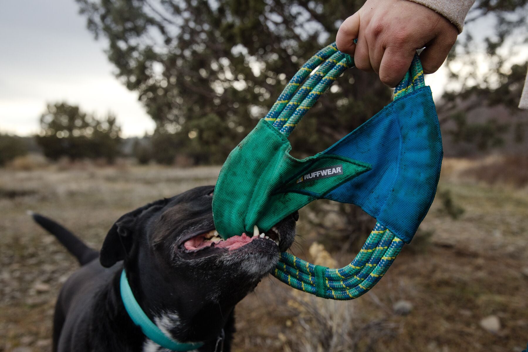 Ruffwear® Pacific Ring Dog Toy - Orange/Yellow Chew-Resistant Fetch & Tug Toy for Active Dogs - Perfect for Outdoor Play, Training & Water Fun