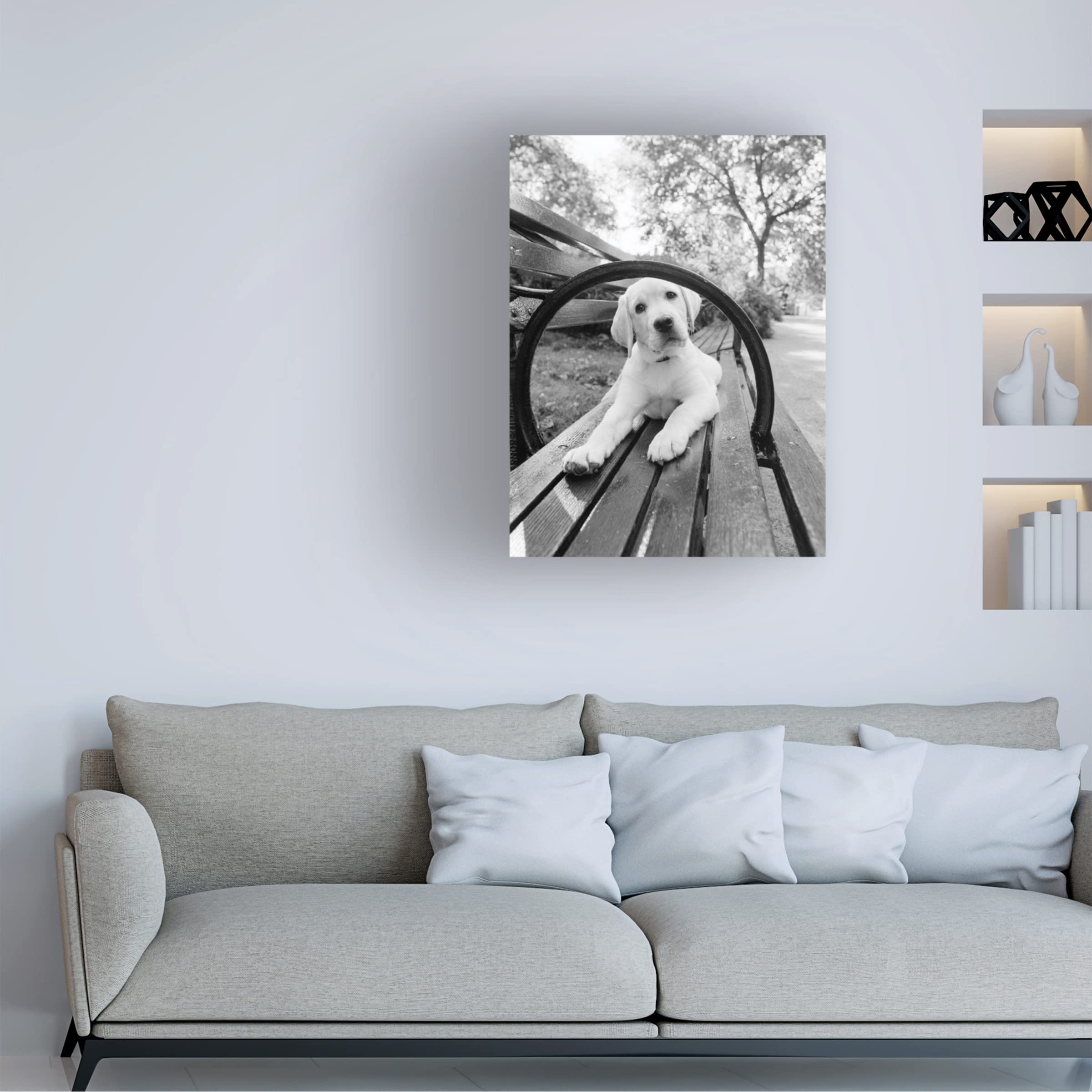 Trademark Fine Art 'Never Doubt That You Can' Motivational Canvas Wall Art by Jim Dratfield - Inspirational Home & Office Decor for Living Room, Bedroom or Workspace