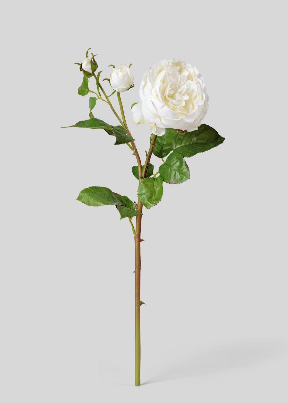 Real Touch Artificial English Rose with Buds - 21
