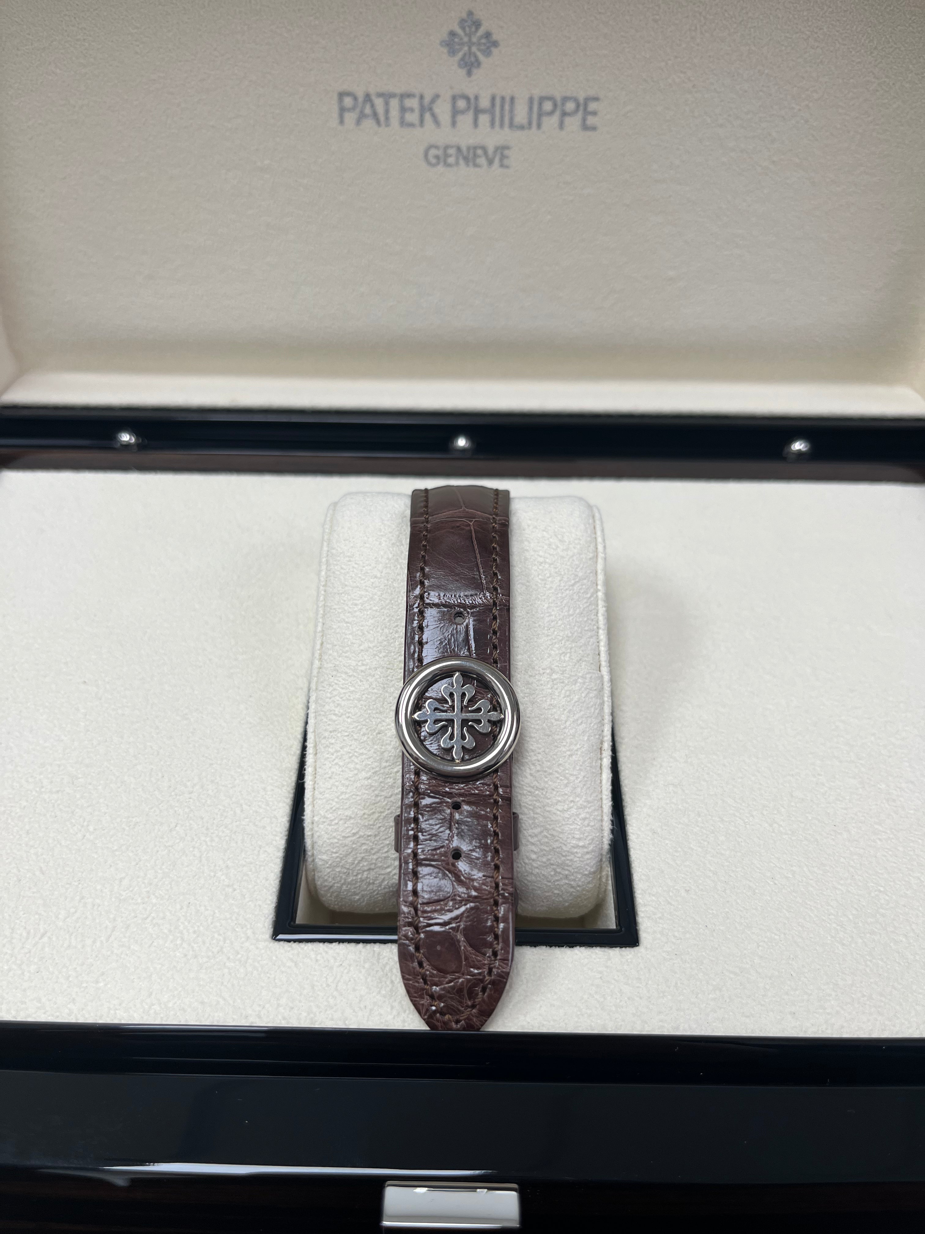 Patek Philippe Complications Salmon Dial 18K White Gold Men's Watch 5172G-010 | Luxury Dress Watch for Business & Formal Occasions