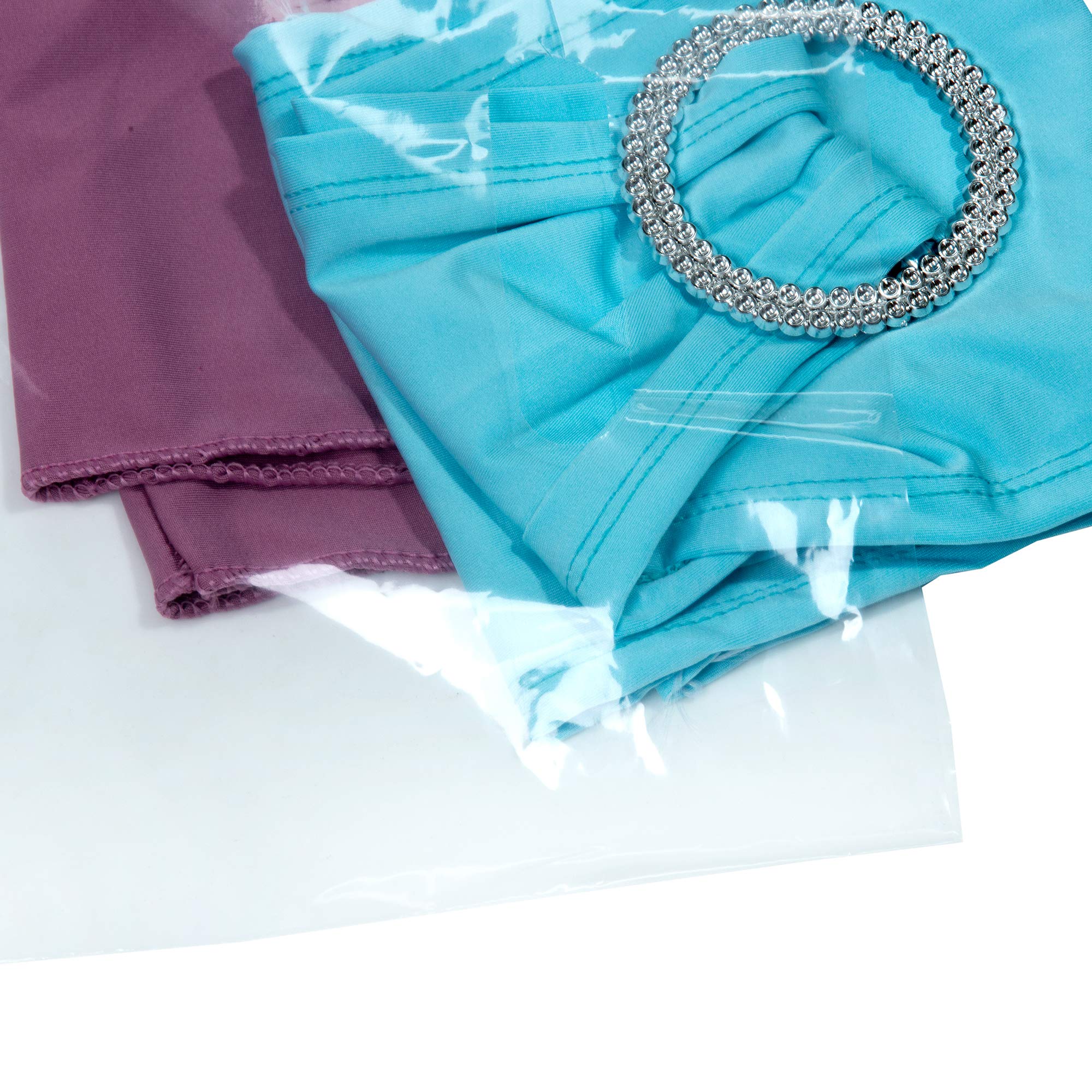 1000 Clear Plastic Bags with Handles 12