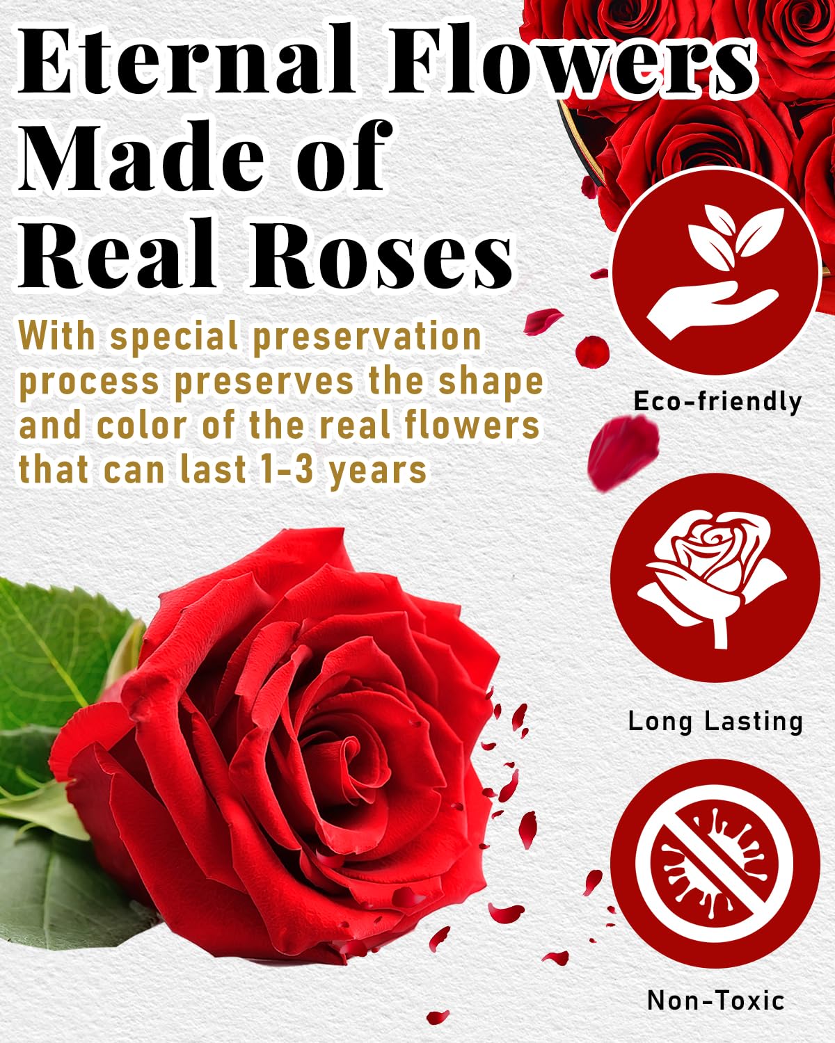 Changshunqi Forever Preserved Roses in a Box - 7 Long-Lasting Roses (2-3 Years) | Eternal Rose Gift for Women, Wife, Mom | Birthday, Anniversary, Mother's Day Flowers | Perfect for Home Decor, Wedding Centerpieces & Romantic Surprises