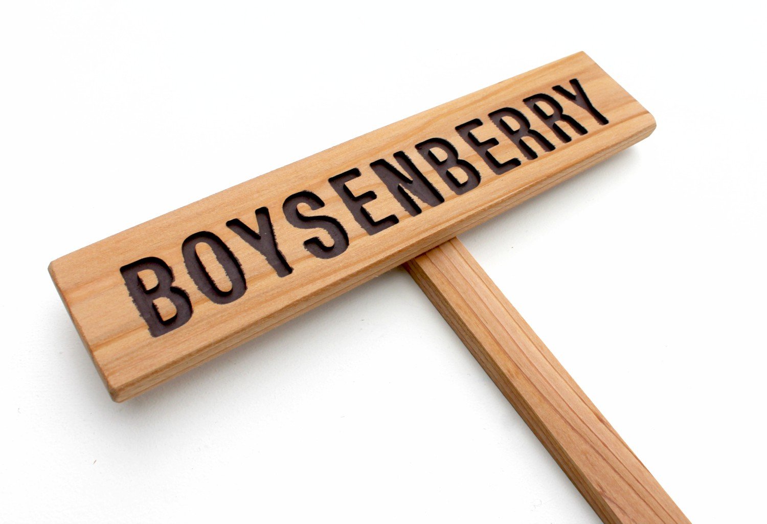 Boysenberry Garden Sign - Custom Berry & Fruit Marker for Outdoor Yard Art - Summer Berries Signage - Perfect for Garden Decor & Farmhouse Style Landscaping