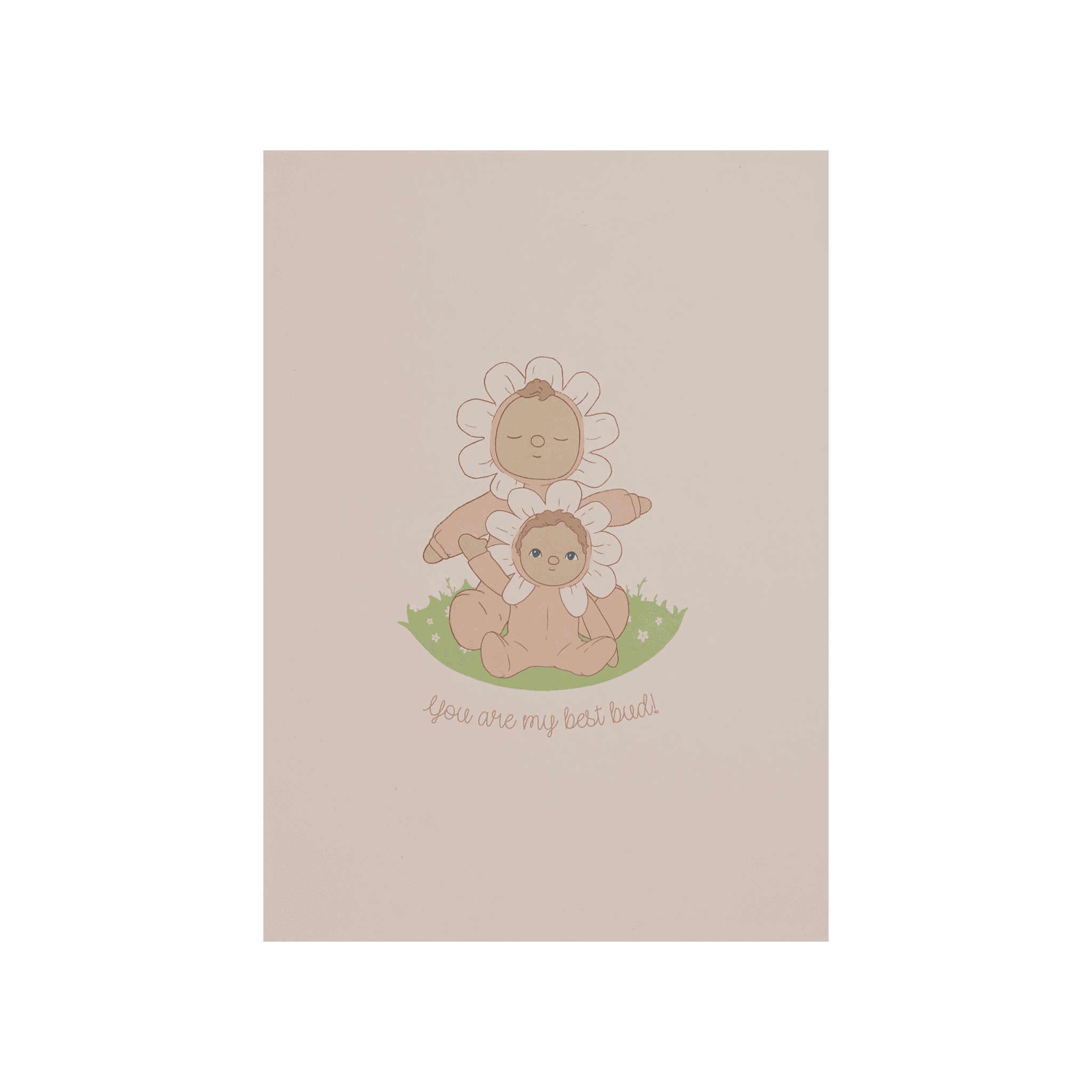 Limited Edition Blossom Buds Tulip Gift Set - Perfect for Mother's Day, Valentine's Day & Birthday Presents