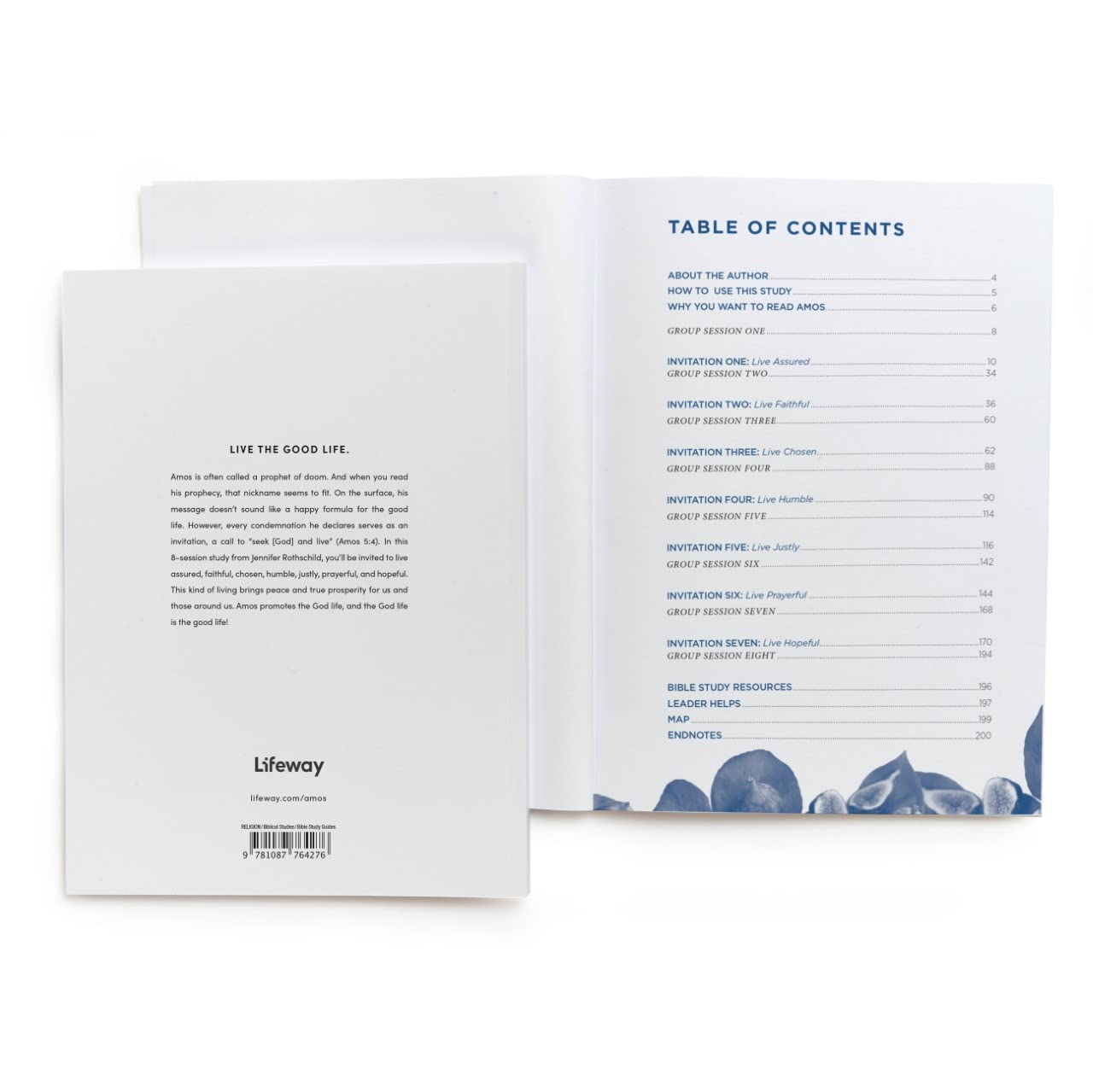 Amos - Bible Study Book with Video Access: Discover the Good Life | Christian Devotional Guide for Small Groups & Personal Reflection