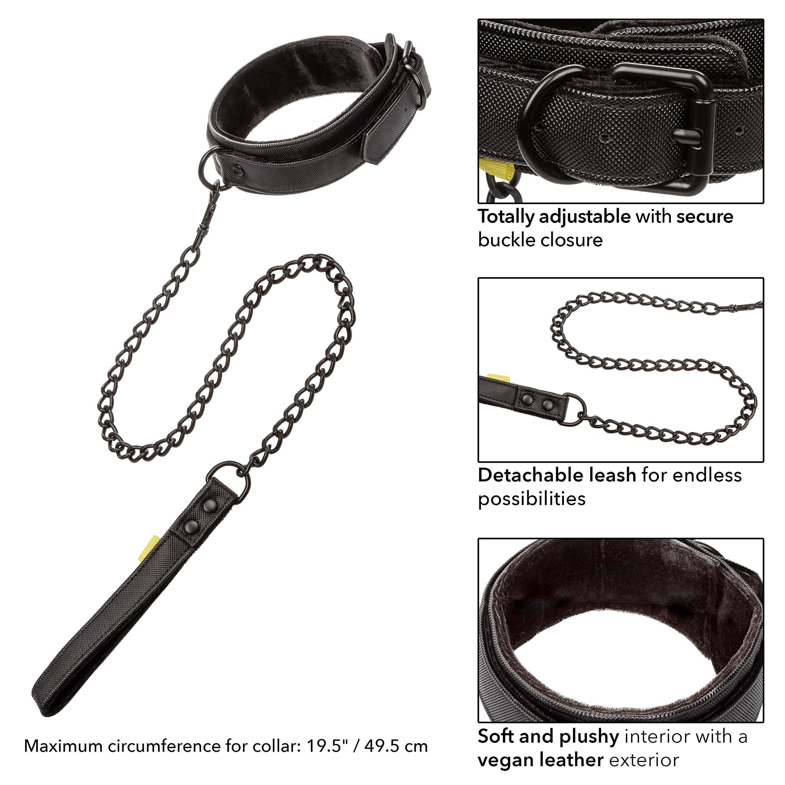 CalExotics Boundless Collar with Leash - Adjustable Pet Necklace for Dogs & Cats - Perfect for Training, Walks & Playtime