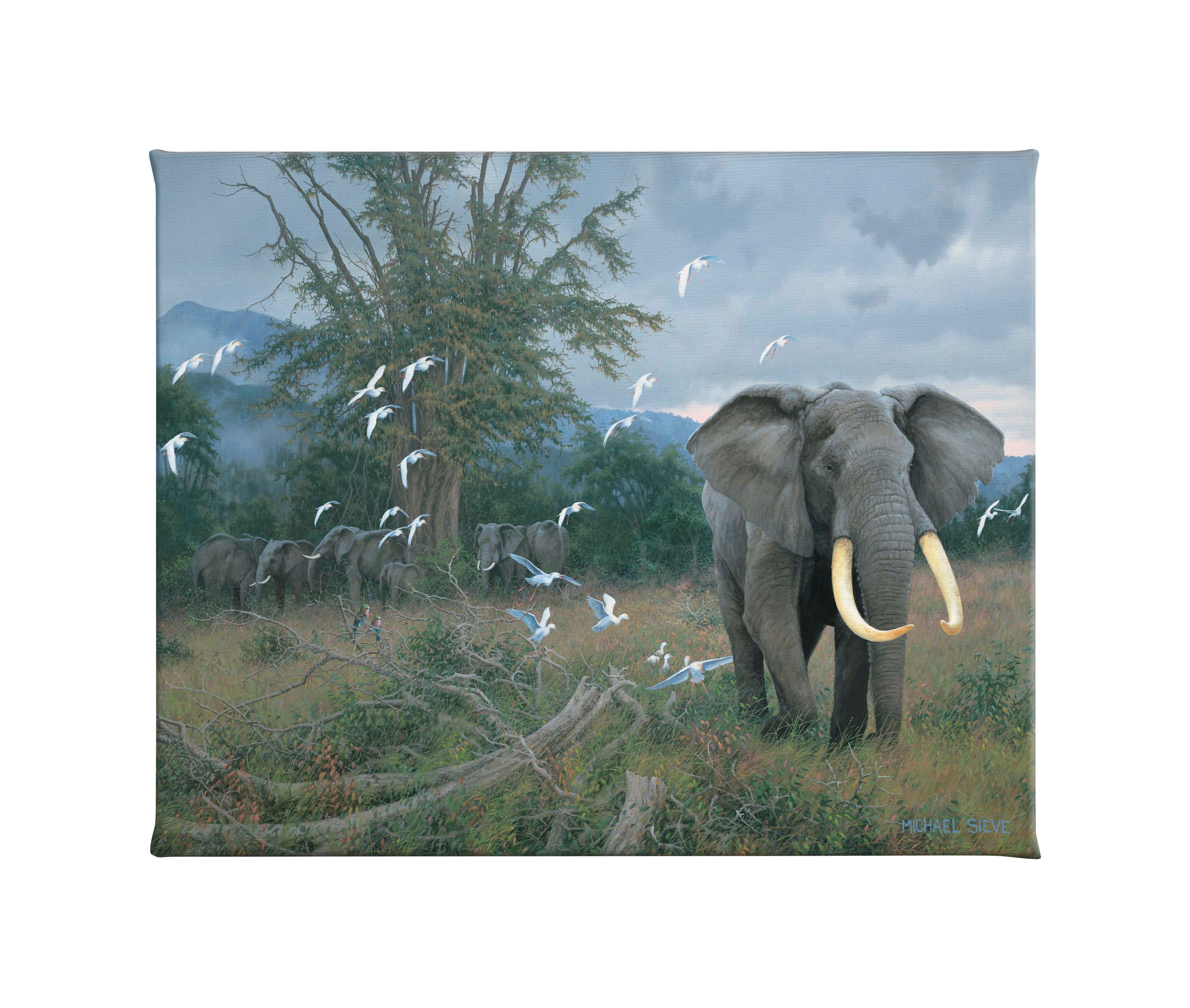 Highland Bull & Egrets 24x19 Inch Gallery Wrapped Canvas Wall Art - Perfect for Living Room, Bedroom & Office Decor