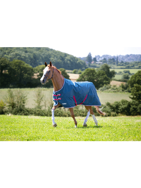 Shires Tempest Lightweight Turnout Blanket 0g Fill - Perfect for Mild Weather Horse Riding and Stable Use