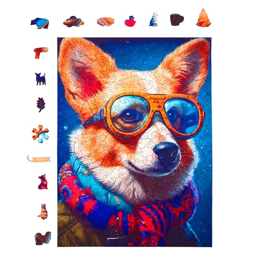 Colin Corgi Dog
