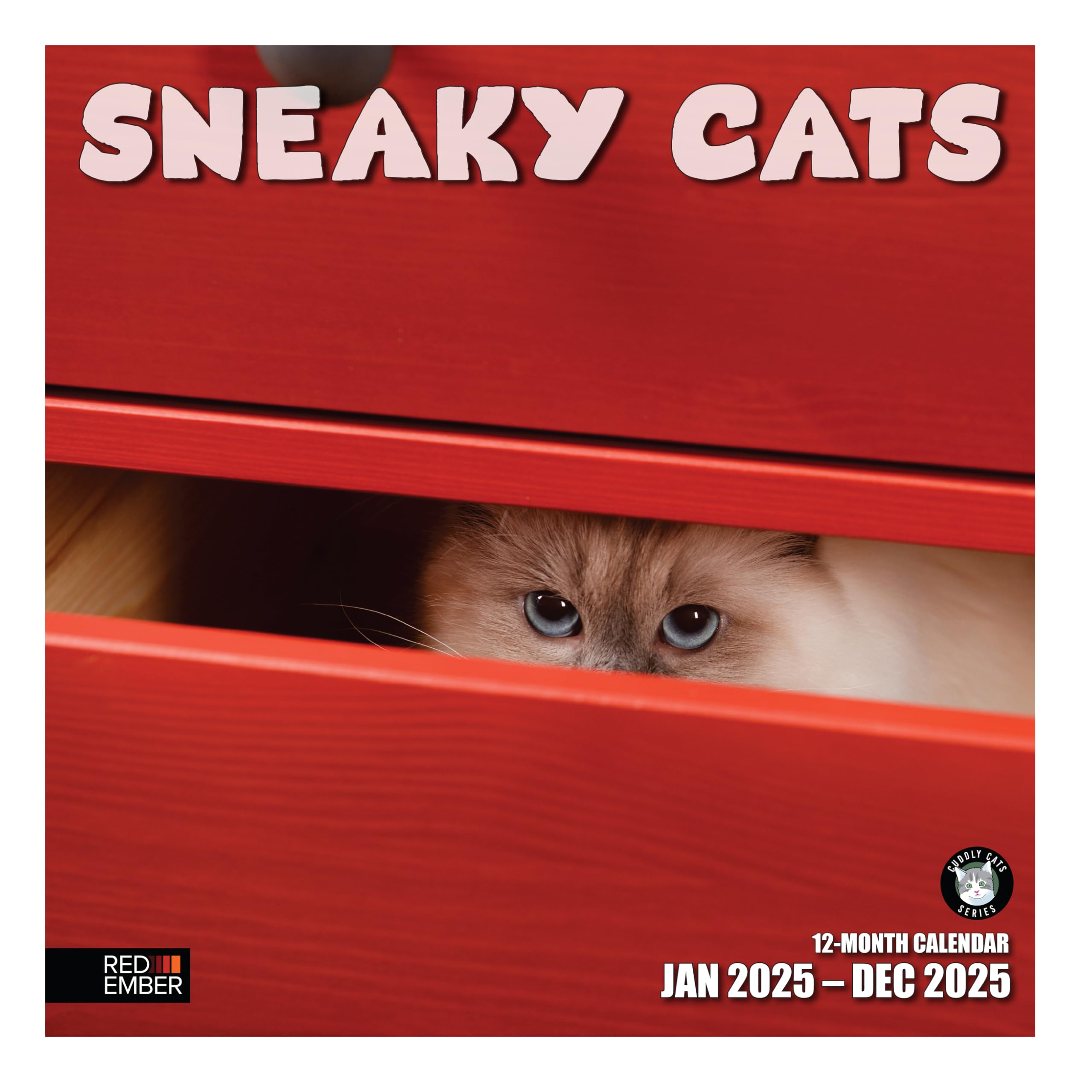 RED EMBER Sneaky Cats 2025 Wall Calendar - 12 Month Large 12