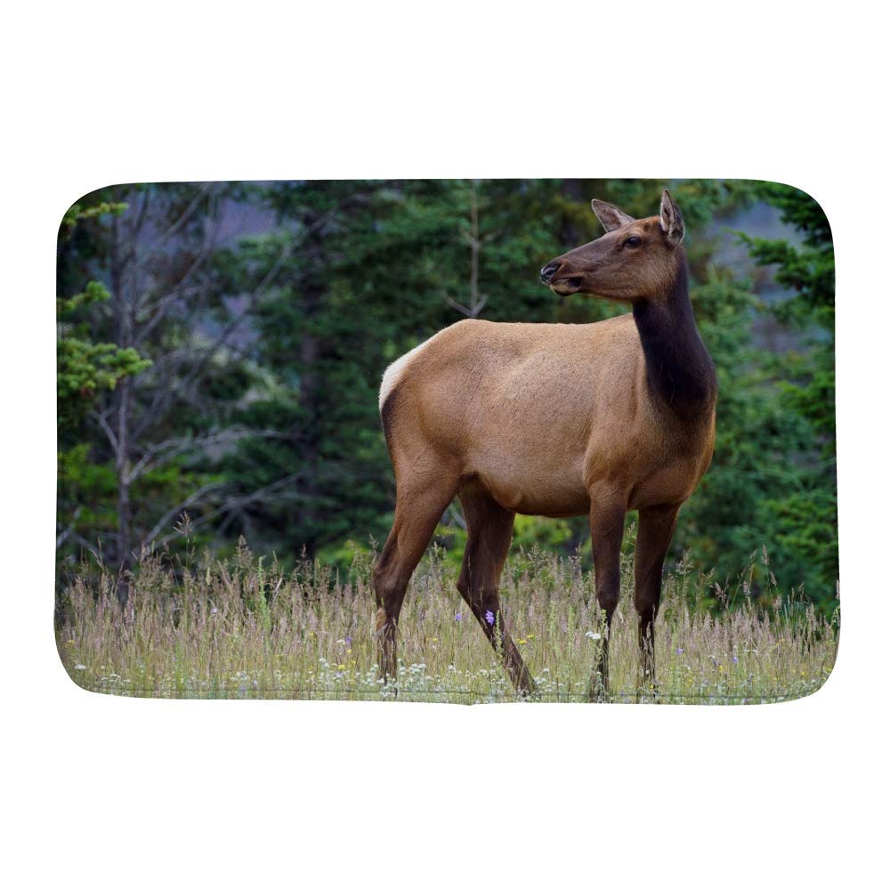 **Non-Slip Memory Foam Bath Mat - Soft Rubber Back, Quick-Dry & Machine Washable - 36 x 24 Inch Bathroom Rug for Hotel & Home Use - Perfect for Bathrooms, Showers, and Spa Areas**