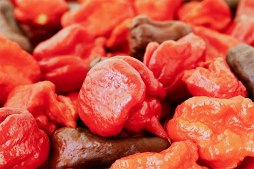 Premium Whole Dried Carolina Reaper Peppers - 25 Count - World's Hottest Chili Peppers for Cooking, Hot Sauce Making & Spicy Food Lovers - Perfect for BBQ, Chili, and Gourmet Recipes