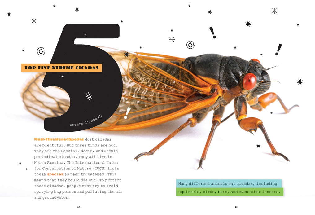 Cicadas Book - ISBN 9781608189892 - Perfect for Nature Lovers & Insect Enthusiasts